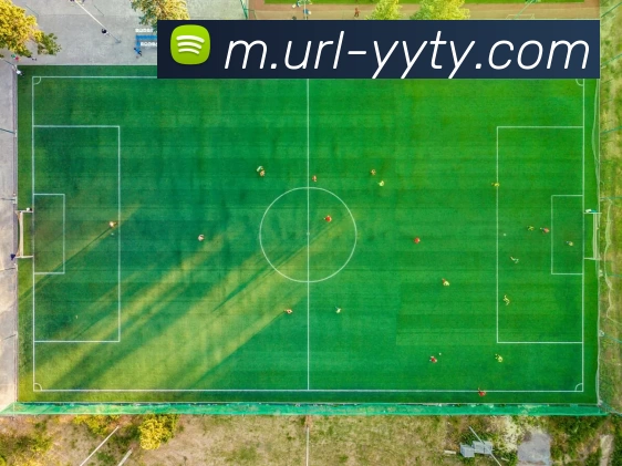 App Interface Preview