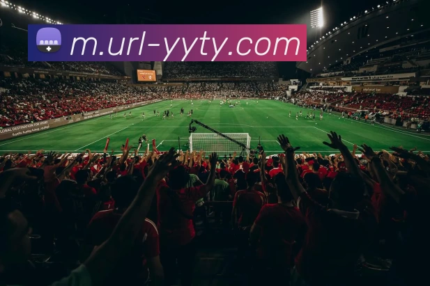 易游体育APP 封面图